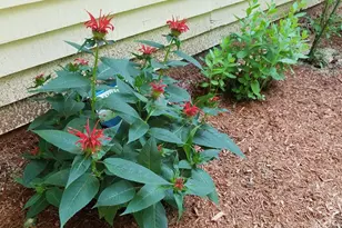 490 Meredith Center Rd, Laconia, NH 03246 - Photo 43