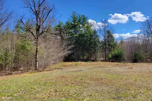 14 Americal Way, Fryeburg, ME 04037 - Photo 3