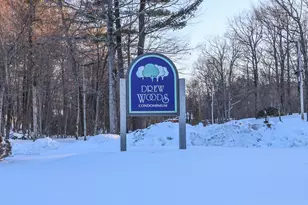 3 Pine Bluff, Derry, NH 03038 - Photo 41