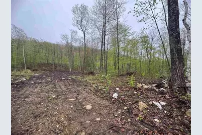 000 Upper Plains Road, Salisbury, VT 05769 - Photo 1