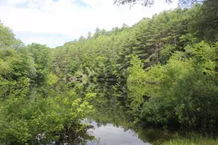 27A Woodland Way, Plymouth, NH 03264 - Photo 21