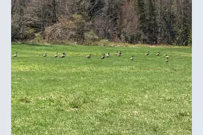 0 US Route 4, Canaan, NH 03741 - Photo 29