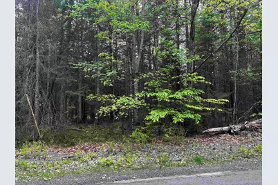 14 Oak Lane, Grantham, NH 03753 - Photo 1