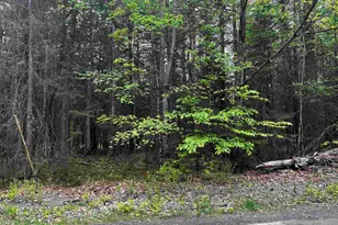 14 Oak Ln, Grantham, NH 03753 - Photo 1