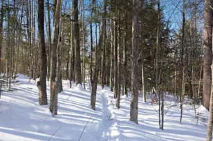 32 Deckmans Rd, Danbury, NH 03230 - Photo 37