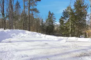 32 Deckmans Rd, Danbury, NH 03230 - Photo 39