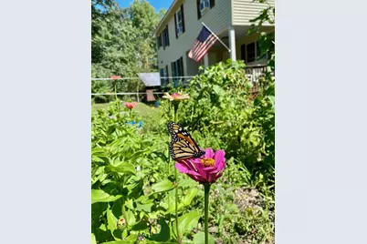 44 Buttercup Lane, Antrim, NH 03440 - Photo 47