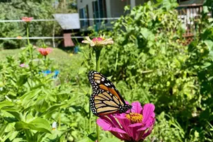 44 Buttercup Ln, Antrim, NH 03440 - Photo 47