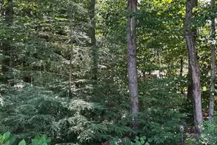 37 Drew Ln, Laconia, NH 03246 - Photo 43