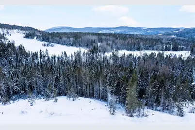 Lot 1 Creampoke Road, Stewartstown, NH 03576 - Photo 9