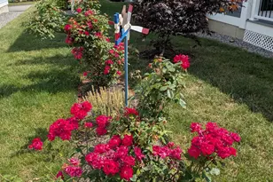 138 Memory Ln, Laconia, NH 03246 - Photo 29