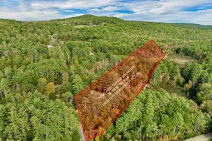 19 Cotton Mountain Rd, Wolfeboro, NH 03894 - Photo 59