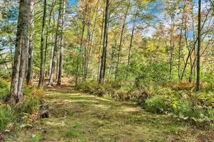 19 Cotton Mountain Rd, Wolfeboro, NH 03894 - Photo 43