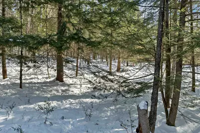 0 Burnham Road, Freedom, NH 03836 - Photo 7