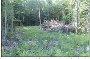 7 James St, Bethlehem, NH 03574 - Photo 1