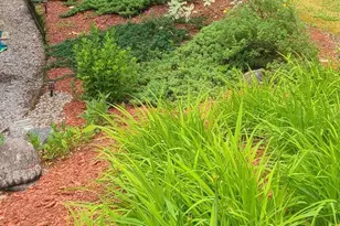 119 Black Brook Rd, Meredith, NH 03253 - Photo 45