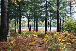 162 Meadows Dr, Madison, NH 03849 - Photo 25