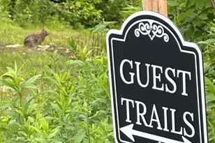 161 Concord Rd, Keene, NH 03431 - Photo 45