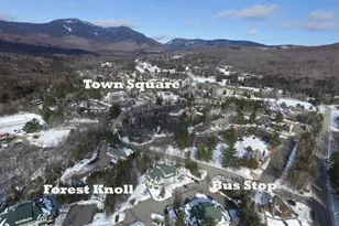 42 Forest Knoll Way, Waterville Valley, NH 03215 - Photo 21