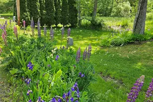 127 Morways Park, Charlestown, NH 03603 - Photo 9