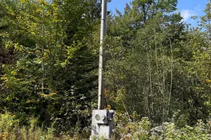 20 Brock Ln, Groton, NH 03241 - Photo 3