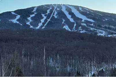 F2 Cobble Ridge Road #F2, Winhall, VT 05340 - Photo 37