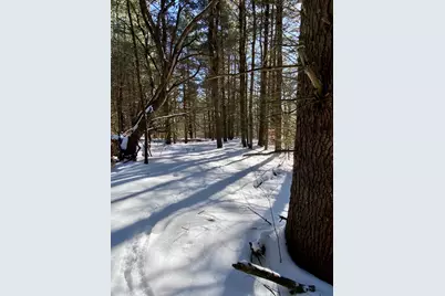 90 Vt Route 140, Tinmouth, VT 05773 - Photo 13