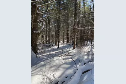 90 Vt Route 140, Tinmouth, VT 05773 - Photo 11