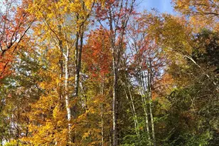 50 Banjo Dr, Thornton, NH 03285 - Photo 55