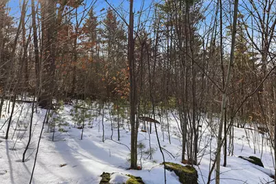 Taxmap 5B Lot97 Nh Route 114 #97, Henniker, NH 03242 - Photo 13