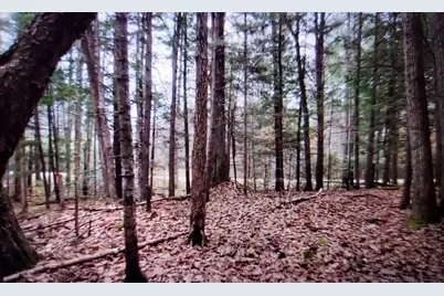 00 Covered Bridge Road, Thornton, NH 03285 - Photo 29