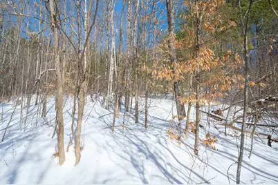 0 Quechee Main Street, Hartford, VT 05059 - Photo 13