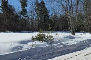 164 Mason Rd, Milton, NH 03851 - Photo 39