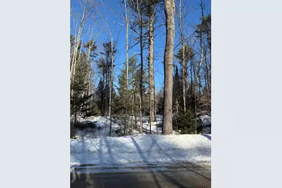 00 Hobbs Road, Effingham, NH 03882 - Photo 3