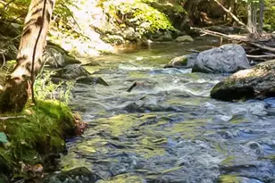 20 Fairgrounds Rd, Bradford, NH 03221 - Photo 27