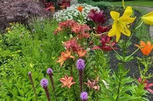 6 Reserve Pl, Concord, NH 03301 - Photo 5