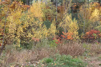 3 Beechwoods Drive #3, Bartlett, NH 03845 - Photo 11