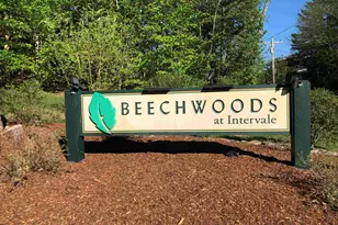 3 Beechwoods Dr, Bartlett, NH 03845 - Photo 1