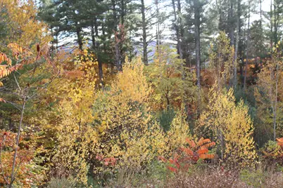 3 Beechwoods Drive #3, Bartlett, NH 03845 - Photo 7