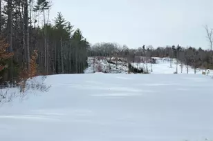 449 N Wakefield Rd, Wolfeboro, NH 03872 - Photo 1