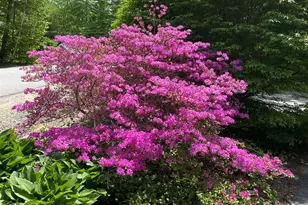 56 Patrician Shores Cir, Meredith, NH 03253 - Photo 45