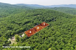 Texas Hill Rd, Plymouth, NH 03264 - Photo 1
