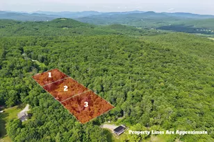793 Texas Hill Rd, Plymouth, NH 03264 - Photo 1