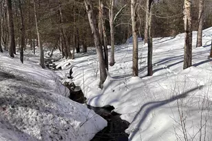 183 Tower Hill Rd, Hinsdale, NH 03451 - Photo 13