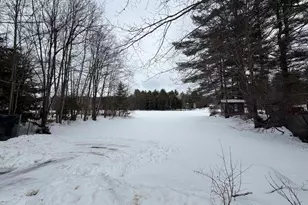 110 New Hampshire Dr, Webster, NH 03303 - Photo 59