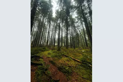 1660 Town Line Road, Craftsbury, VT 05827 - Photo 51