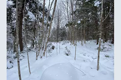 0 Fall Brook Road #5, Wheelock, VT 05851 - Photo 9