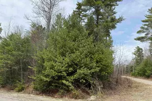 7 Hawk Ln, Canaan, NH 03741 - Photo 23