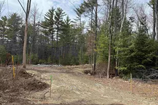 0 Dove and Hawk Ln, Canaan, NH 03741 - Photo 15