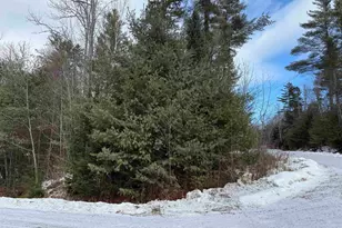 0 Dove and Hawk Ln, Canaan, NH 03741 - Photo 15